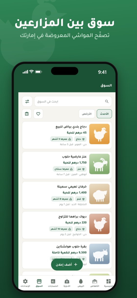 سوق مزرعتي: إعلانات مواشي معروضة للبيع